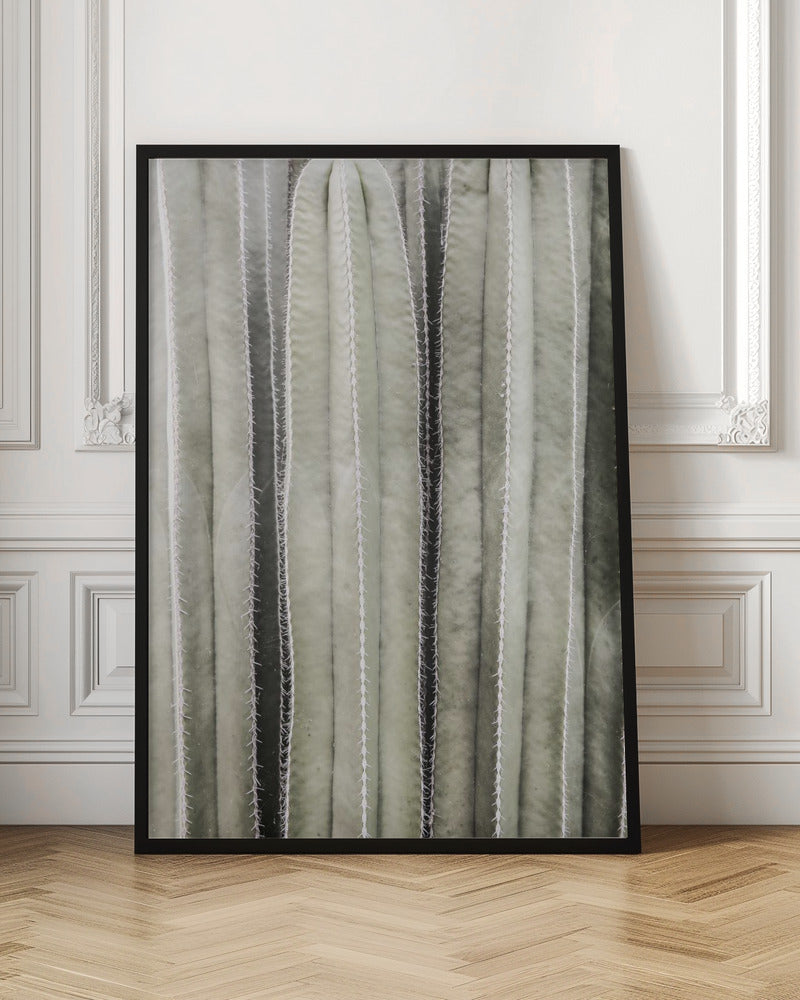 Cactiriver Poster
